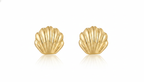 Gold Seashell Stud Earrings for Women – 14K Gold Plated Beach Jewelry